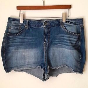💥 EUC Torrid High Rise Denim Shorts, Size 22